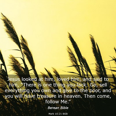 Picture 03 - Mark 10:21 BSB - Jesus looked at him, loved him, and said to him, - Bible Verse Picture
