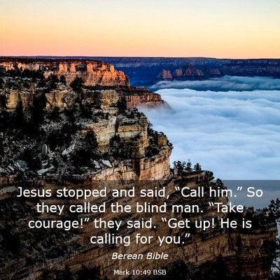 Picture 03 - Mark 10:49 BSB - Jesus stopped and said, “Call him.” So they - Bible Verse Picture