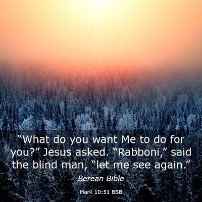 Picture 03 - Mark 10:51 BSB - “What do you want Me to do for you?” Jesus - Bible Verse Picture