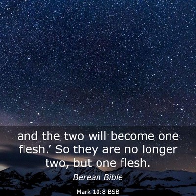 Picture 03 - Mark 10:8 BSB - and the two will become one flesh.’ So they are - Bible Verse Picture