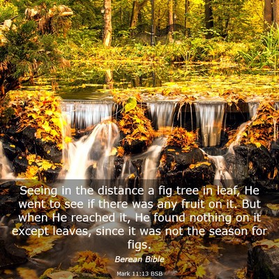 Picture 03 - Mark 11:13 BSB - Seeing in the distance a fig tree in leaf, He - Bible Verse Picture