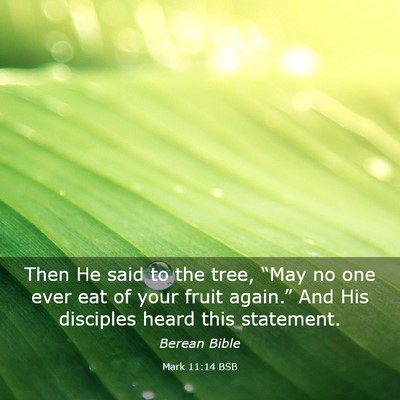 Picture 03 - Mark 11:14 BSB - Then He said to the tree, “May no one ever eat - Bible Verse Picture