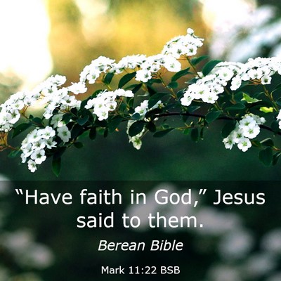Picture 03 - Mark 11:22 BSB - “Have faith in God,” Jesus said to - Bible Verse Picture