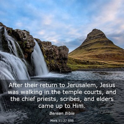 Picture 03 - Mark 11:27 BSB - After their return to Jerusalem, Jesus was - Bible Verse Picture