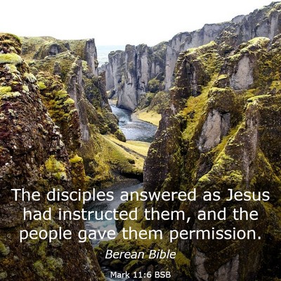 Picture 03 - Mark 11:6 BSB - The disciples answered as Jesus had instructed - Bible Verse Picture