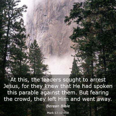 Picture 03 - Mark 12:12 BSB - At this, the leaders sought to arrest Jesus, for - Bible Verse Picture