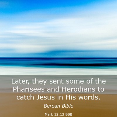 Picture 03 - Mark 12:13 BSB - Later, they sent some of the Pharisees and - Bible Verse Picture