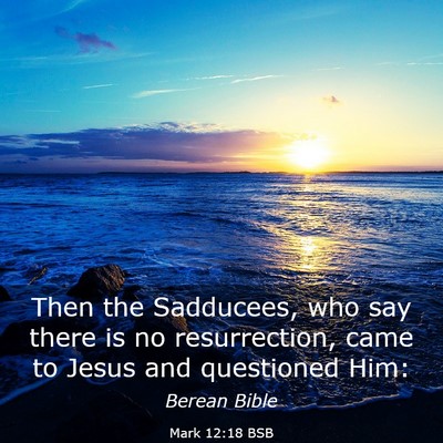 Picture 03 - Mark 12:18 BSB - Then the Sadducees, who say there is no - Bible Verse Picture