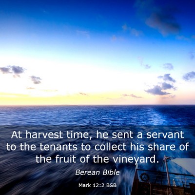 Picture 03 - Mark 12:2 BSB - At harvest time, he sent a servant to the tenants - Bible Verse Picture