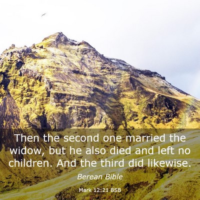 Picture 03 - Mark 12:21 BSB - Then the second one married the widow, but he - Bible Verse Picture