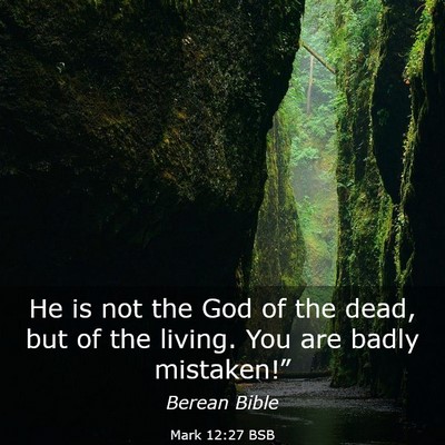 Picture 03 - Mark 12:27 BSB - He is not the God of the dead, but of the living. - Bible Verse Picture