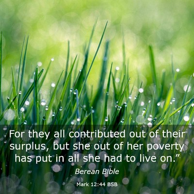 Picture 03 - Mark 12:44 BSB - For they all contributed out of their surplus, - Bible Verse Picture