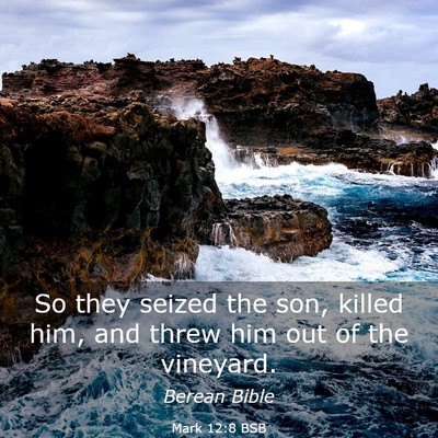Picture 03 - Mark 12:8 BSB - So they seized the son, killed him, and threw him - Bible Verse Picture