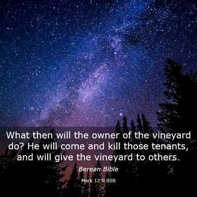 Picture 03 - Mark 12:9 BSB - What then will the owner of the vineyard do? He - Bible Verse Picture