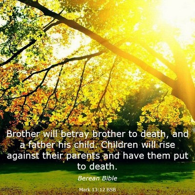 Picture 03 - Mark 13:12 BSB - Brother will betray brother to death, and a - Bible Verse Picture
