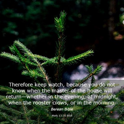 Picture 03 - Mark 13:35 BSB - Therefore keep watch, because you do not know - Bible Verse Picture
