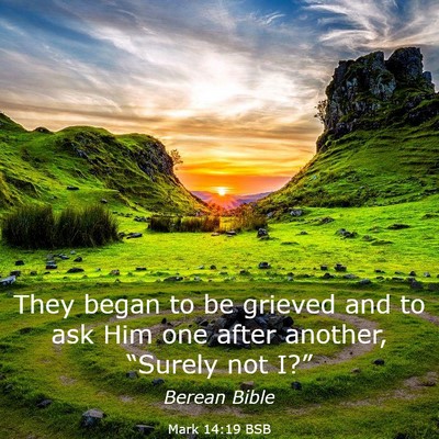Picture 03 - Mark 14:19 BSB - They began to be grieved and to ask Him one after - Bible Verse Picture