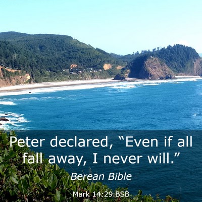 Picture 03 - Mark 14:29 BSB - Peter declared, “Even if all fall away, I never - Bible Verse Picture