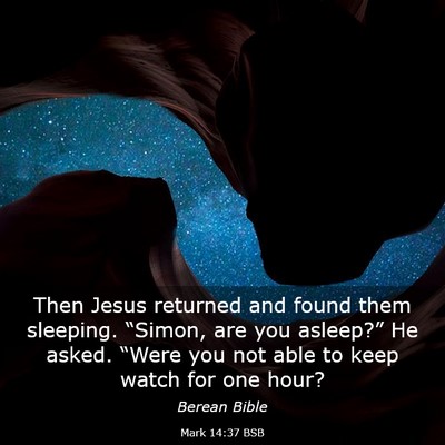 Picture 03 - Mark 14:37 BSB - Then Jesus returned and found them sleeping. - Bible Verse Picture
