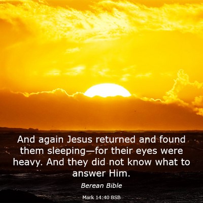 Picture 03 - Mark 14:40 BSB - And again Jesus returned and found them - Bible Verse Picture