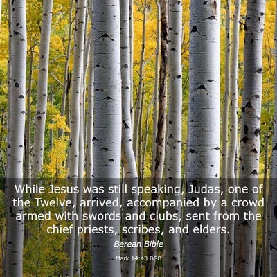 Picture 03 - Mark 14:43 BSB - While Jesus was still speaking, Judas, one of the - Bible Verse Picture