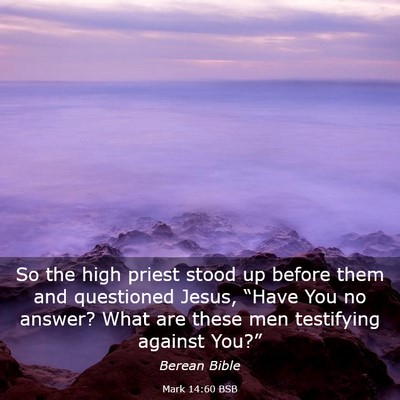 Picture 03 - Mark 14:60 BSB - So the high priest stood up before them and - Bible Verse Picture