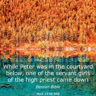 Picture 03 - Mark 14:66 BSB - While Peter was in the courtyard below, one of - Bible Verse Picture