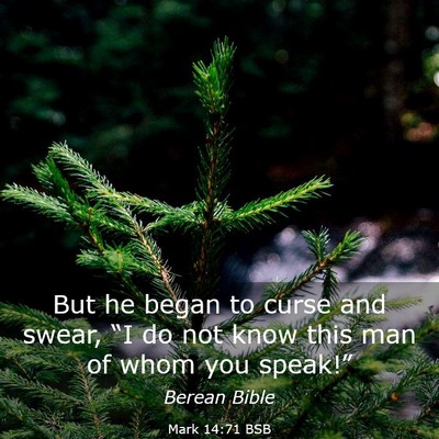 Picture 03 - Mark 14:71 BSB - But he began to curse and swear, “I do not know - Bible Verse Picture