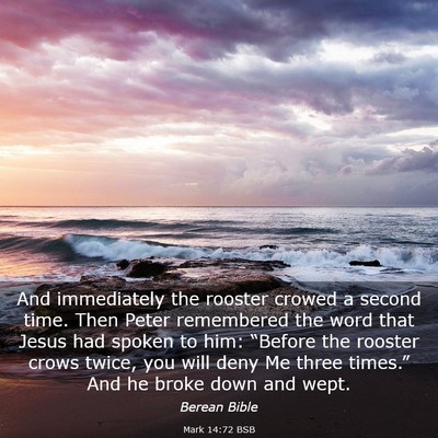 Picture 03 - Mark 14:72 BSB - And immediately the rooster crowed a second time. - Bible Verse Picture