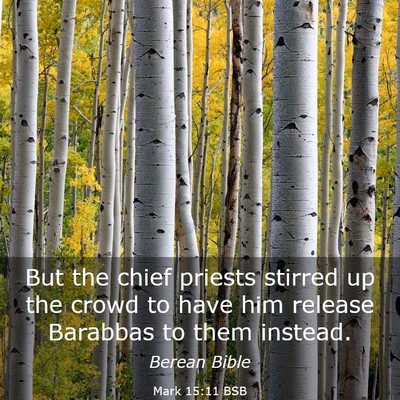 Picture 03 - Mark 15:11 BSB - But the chief priests stirred up the crowd to - Bible Verse Picture