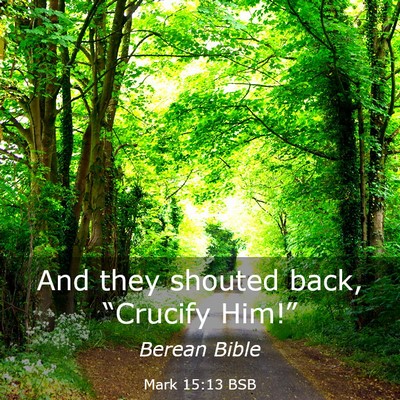 Picture 03 - Mark 15:13 BSB - And they shouted back, “Crucify - Bible Verse Picture