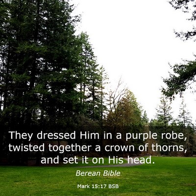 Picture 03 - Mark 15:17 BSB - They dressed Him in a purple robe, twisted - Bible Verse Picture