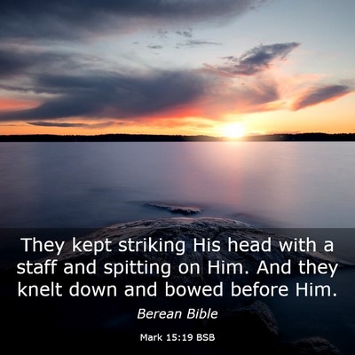 Picture 03 - Mark 15:19 BSB - They kept striking His head with a staff and - Bible Verse Picture