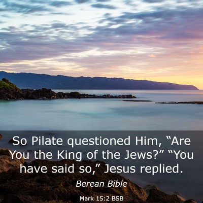 Picture 03 - Mark 15:2 BSB - So Pilate questioned Him, “Are You the King of - Bible Verse Picture