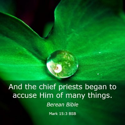 Picture 03 - Mark 15:3 BSB - And the chief priests began to accuse Him of many - Bible Verse Picture