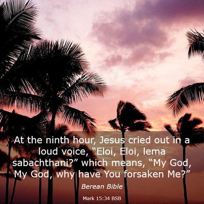 Picture 03 - Mark 15:34 BSB - At the ninth hour, Jesus cried out in a loud - Bible Verse Picture