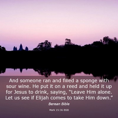 Picture 03 - Mark 15:36 BSB - And someone ran and filled a sponge with sour - Bible Verse Picture