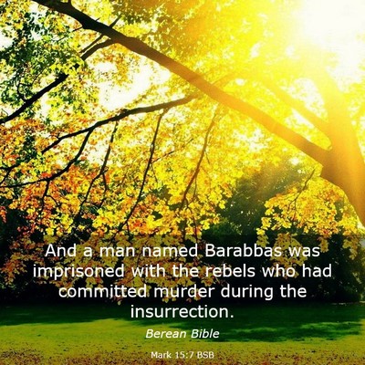 Picture 03 - Mark 15:7 BSB - And a man named Barabbas was imprisoned with the - Bible Verse Picture