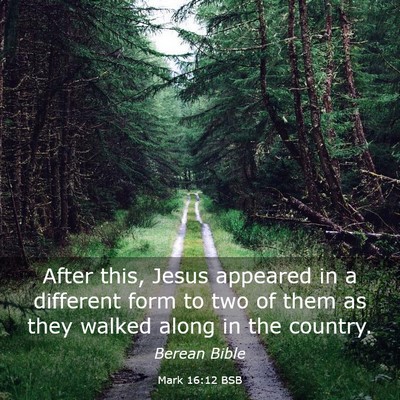 Picture 03 - Mark 16:12 BSB - After this, Jesus appeared in a different form to - Bible Verse Picture
