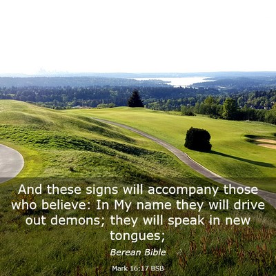 Picture 03 - Mark 16:17 BSB - And these signs will accompany those who believe: - Bible Verse Picture