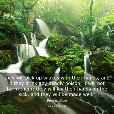 Picture 03 - Mark 16:18 BSB - they will pick up snakes with their hands, and if - Bible Verse Picture