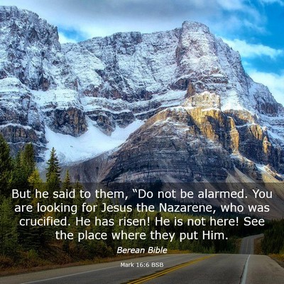 Picture 03 - Mark 16:6 BSB - But he said to them, “Do not be alarmed. You - Bible Verse Picture