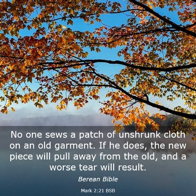 Picture 03 - Mark 2:21 BSB - No one sews a patch of unshrunk cloth on an old - Bible Verse Picture