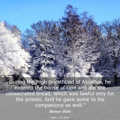 Picture 03 - Mark 2:26 BSB - During the high priesthood of Abiathar, he - Bible Verse Picture