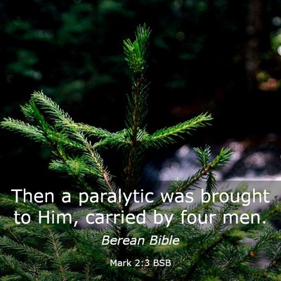 Picture 03 - Mark 2:3 BSB - Then a paralytic was brought to Him, carried by - Bible Verse Picture