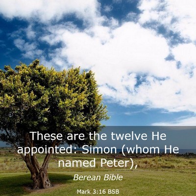 Picture 03 - Mark 3:16 BSB - These are the twelve He appointed: Simon (whom He - Bible Verse Picture