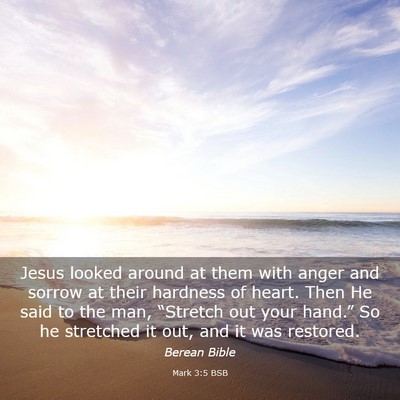 Picture 03 - Mark 3:5 BSB - Jesus looked around at them with anger and sorrow - Bible Verse Picture
