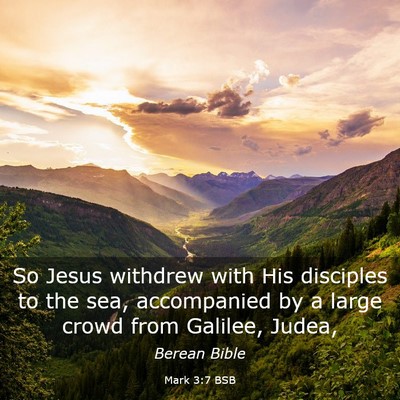 Picture 03 - Mark 3:7 BSB - So Jesus withdrew with His disciples to the sea, - Bible Verse Picture