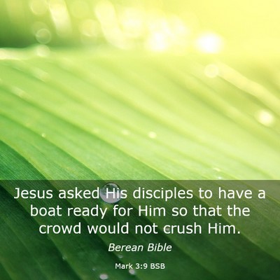 Picture 03 - Mark 3:9 BSB - Jesus asked His disciples to have a boat ready - Bible Verse Picture
