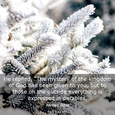 Picture 03 - Mark 4:11 BSB - He replied, “The mystery of the kingdom of God - Bible Verse Picture